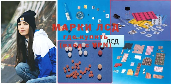 стаф Киренск