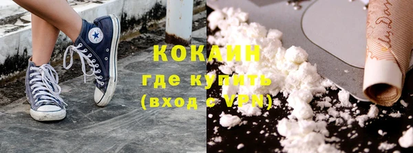 мдпв Кодинск
