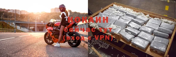 стаф Киренск
