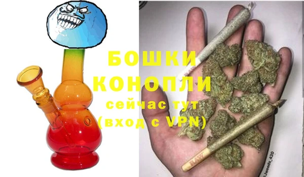 стаф Киренск