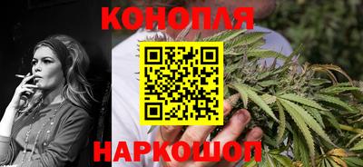 гидра Моздок