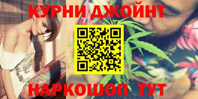 гидра Моздок