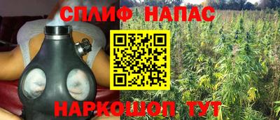 гидра Моздок