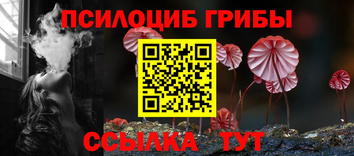 Галлюциногенные грибы Cubensis  Вход с VPN  Ржев  Псилоцибиновые грибы Magic Shrooms 
